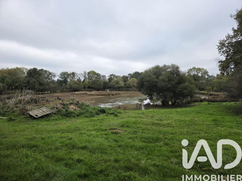 Terrain - 41 945 m²