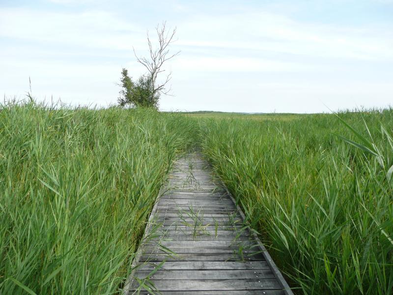 La Fête de la nature - Portes Ouvertes à Terres d'Oiseaux