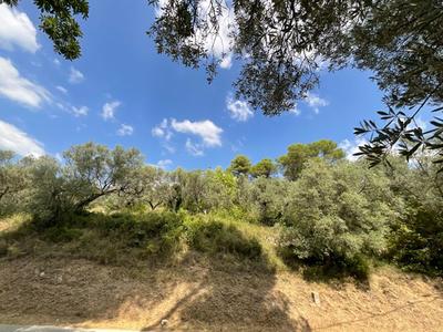 Terrain constructible - 3 015 m²