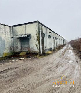 Entrepôt - 4 000 m²