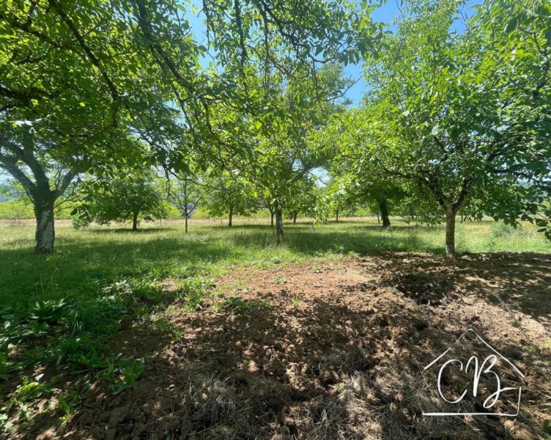 Terrain constructible - 4 264 m²