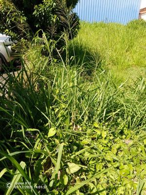 Terrain constructible - 556 m²