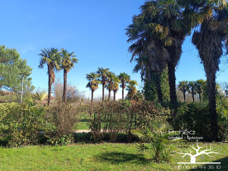 Maison - 126 m² - 5 pièces