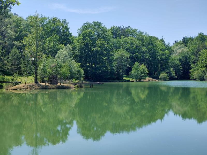 Propriété - 360 m² - 13 pièces