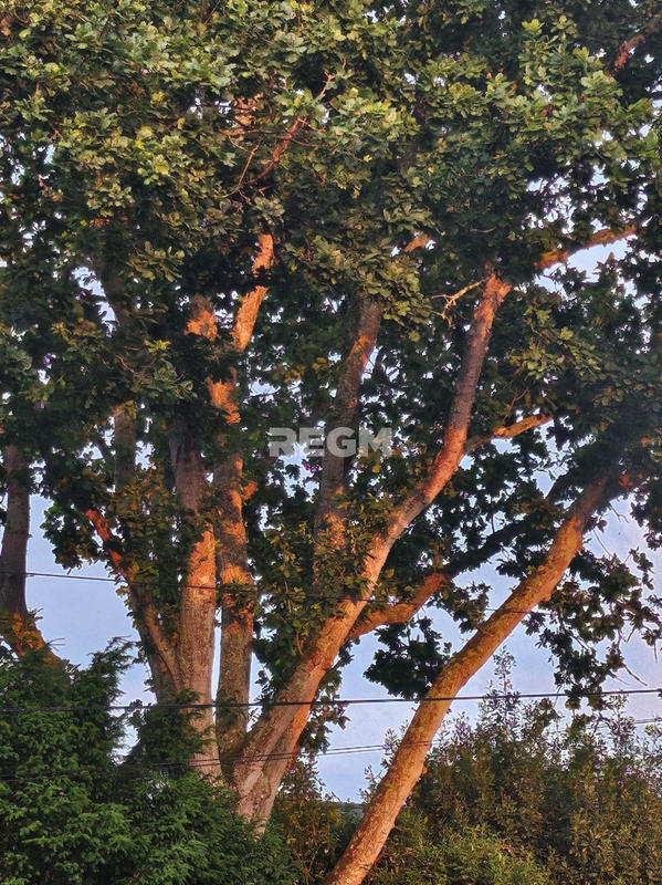 Propriété - 193 m² - 7 pièces