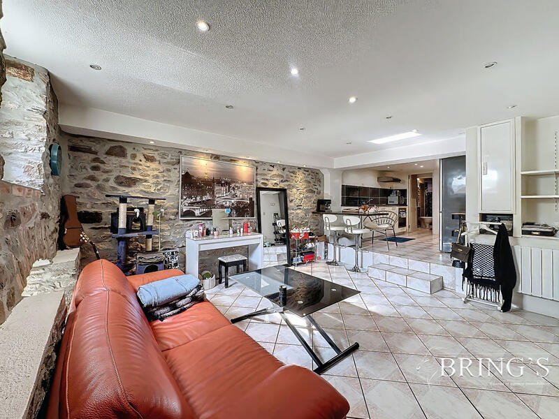 Loft - 45 m² - 2 pièces