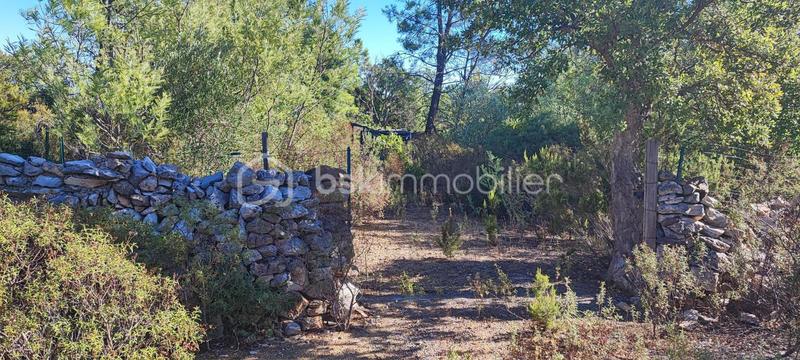 Terrain de loisirs - 4 296 m²