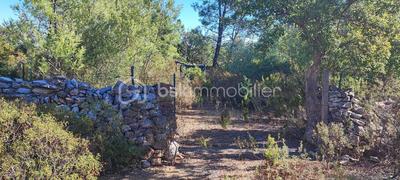 Terrain de loisirs - 4 296 m²