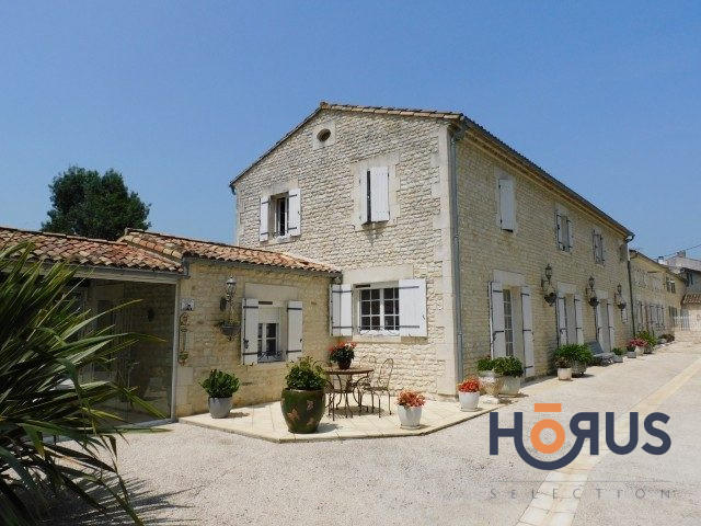 Viager - Maison ancienne - 367 m² - 14 pièces