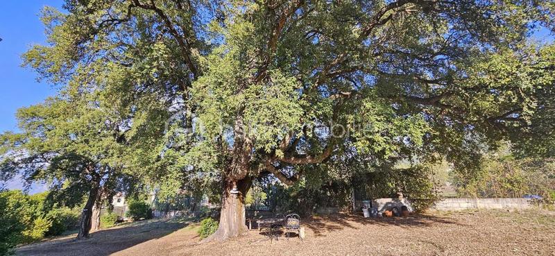 Villa - 157 m² - 5 pièces