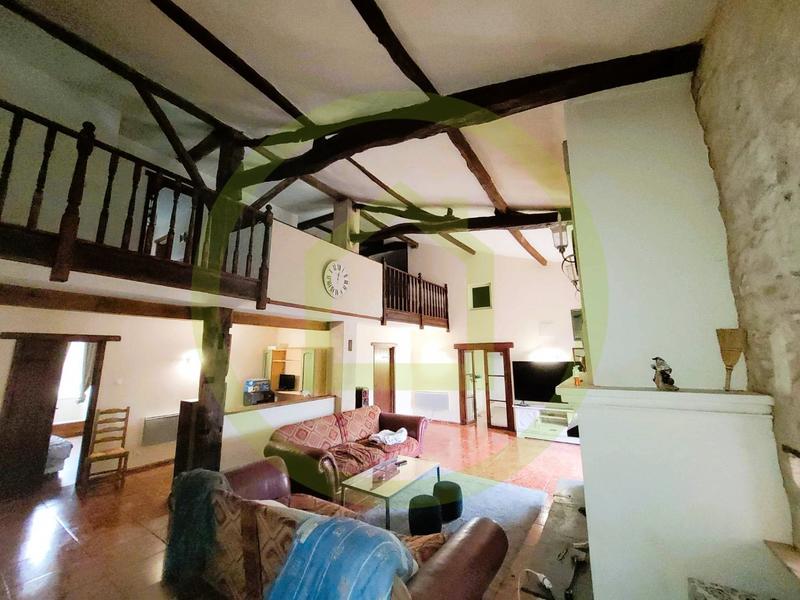 Maison - 525 m² - 12 pièces