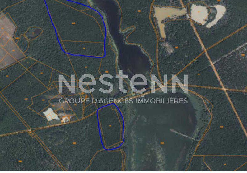 Terrain - 11 978 m²