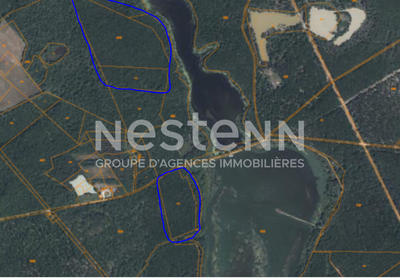 Terrain - 11 978 m²