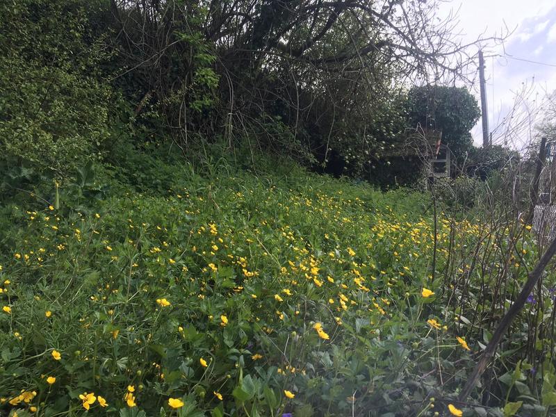 Maison - 70 m² - 4 pièces