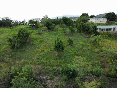 Terrain - 1 500 m²