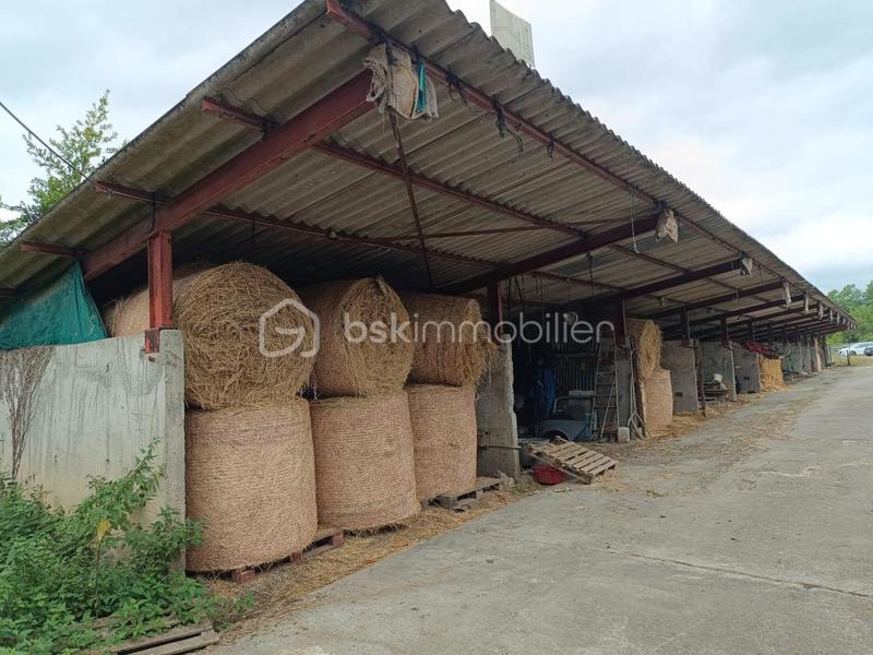 Terrain - 45 181 m²