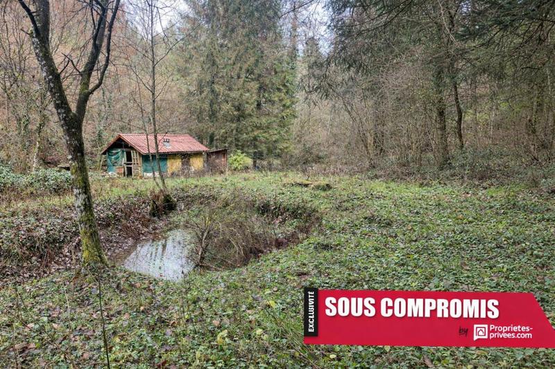 Terrain constructible - 3 197 m²