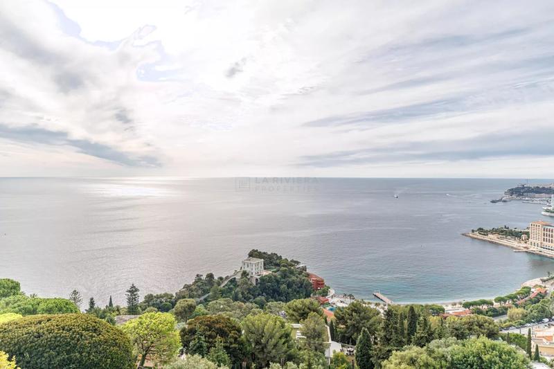 Viager - Appartement - 99 m² - 3 pièces