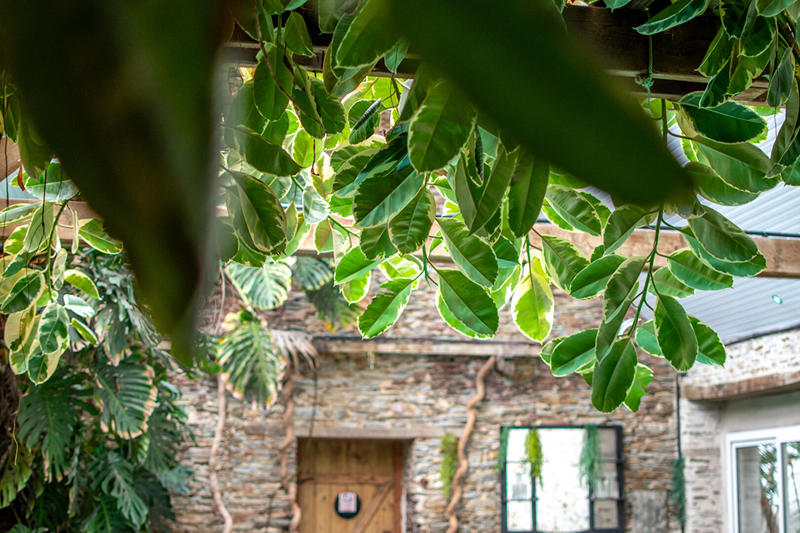 Maison - 500 m² - 13 pièces