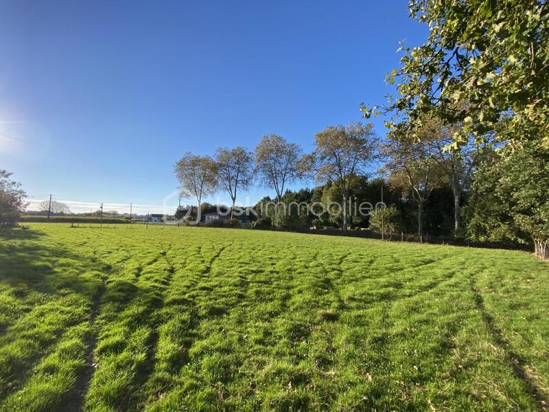 Ferme - 360 m² - 10 pièces