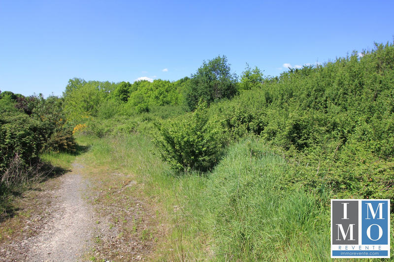 Terrain - 24 965 m²