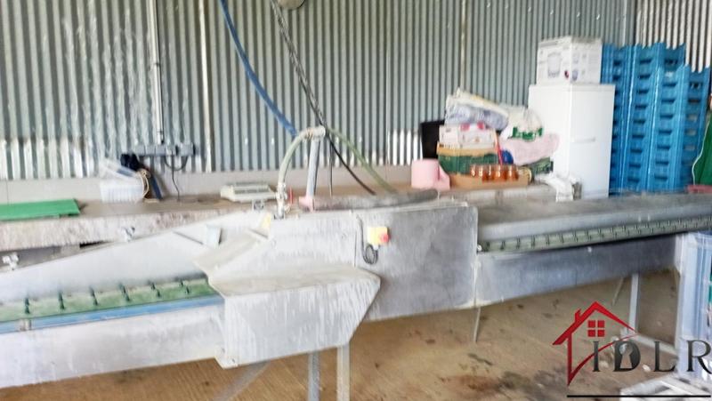 Local d'activité / Entrepôt - 80 000 m²