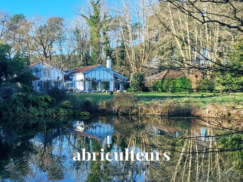 Maison chambre d'hôtes - 295 m² - 10 pièces