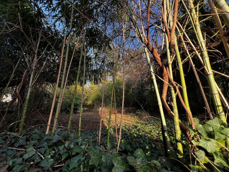 Maison - 230 m² - 7 pièces