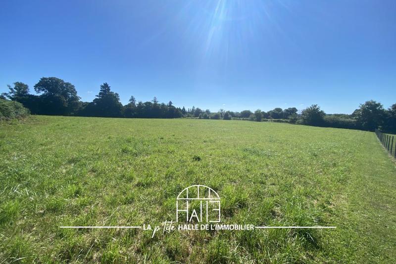 Terrain - 13 959 m²