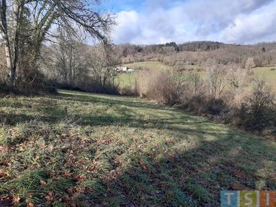 Terrain - 6 781 m²
