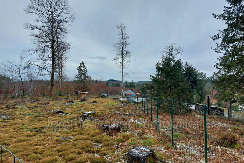 Maison - 70 m² - 2 pièces