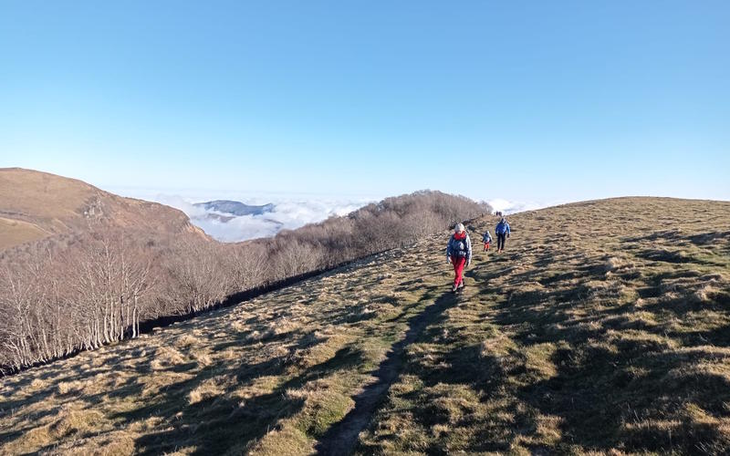 Randonnée accompagnée Mendi Gaiak : randonnée hivernale à pied (niveau 3)