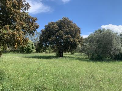 Terrain constructible - 300 m²