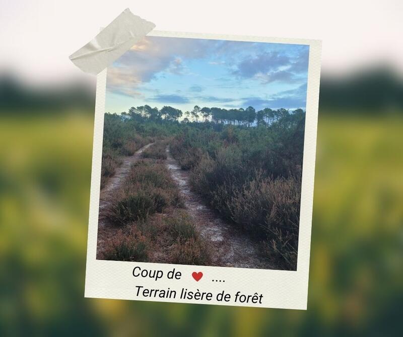 Terrain constructible - 720 m²