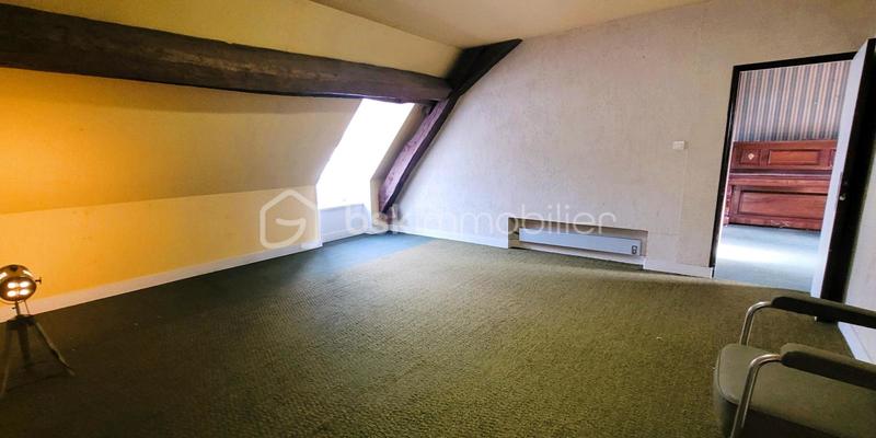 Hôtel particulier - 440 m² - 14 pièces