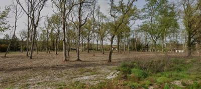 Terrain - 1 174 m²