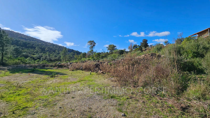 Terrain - 6 775 m²