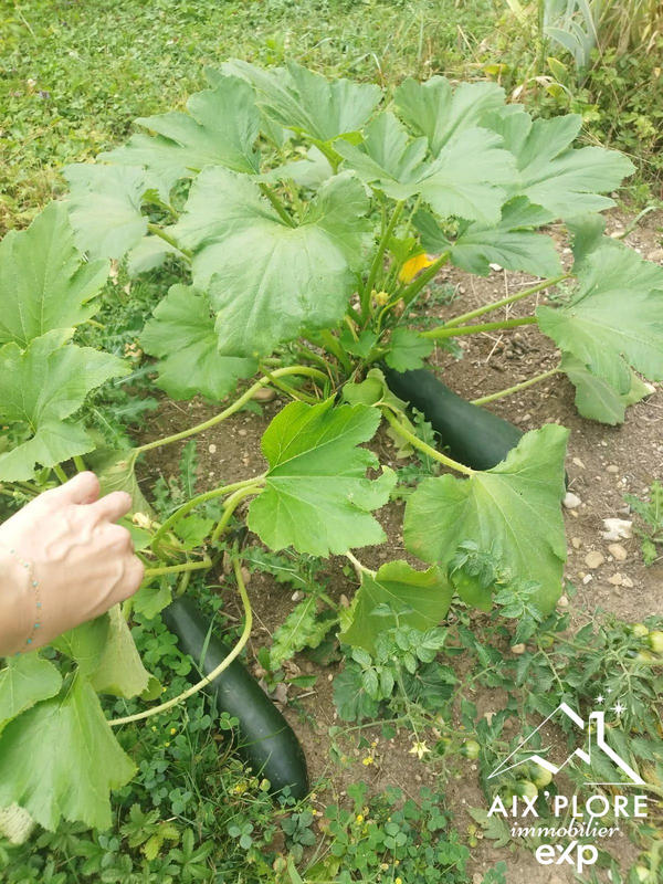 Maison - 70 m² - 4 pièces