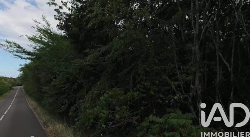 Terrain - 10 682 m²