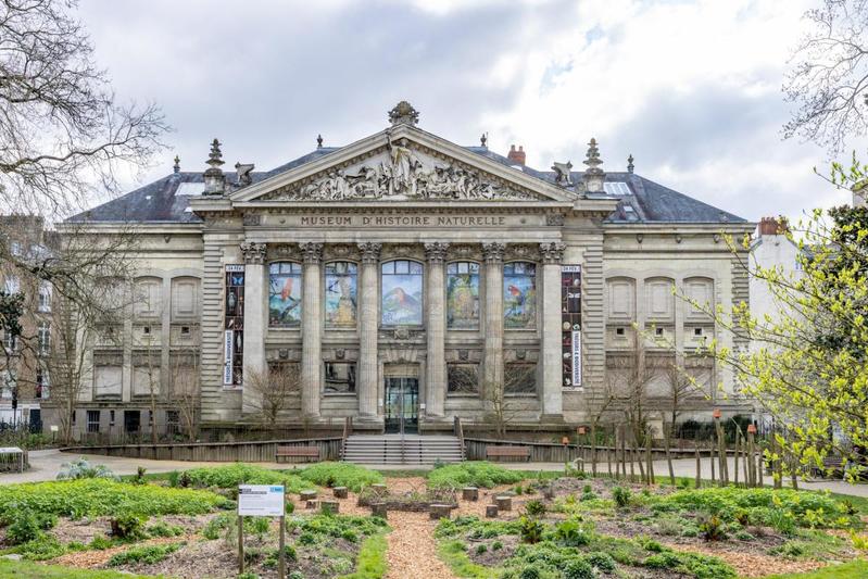 Appartement - 77 m² - 3 pièces