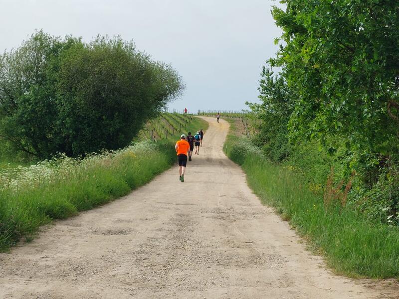 Les Foulées du Vignoble Martillacais