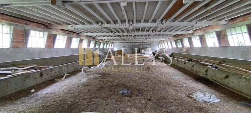 Local d'activité / Entrepôt - 2 101 m²