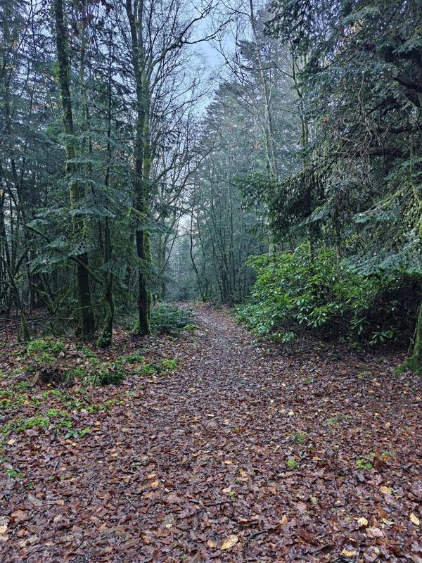 Terrain de loisirs - 146 173 m²