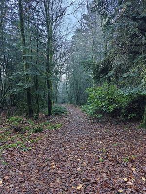 Terrain de loisirs - 146 173 m²