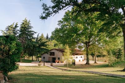 Brunchs de la distillation