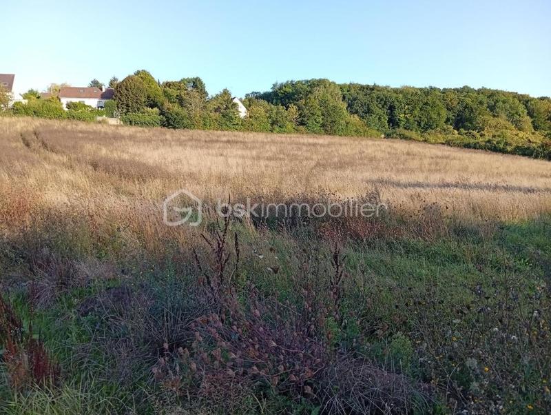 Terrain agricole - 10 469 m²