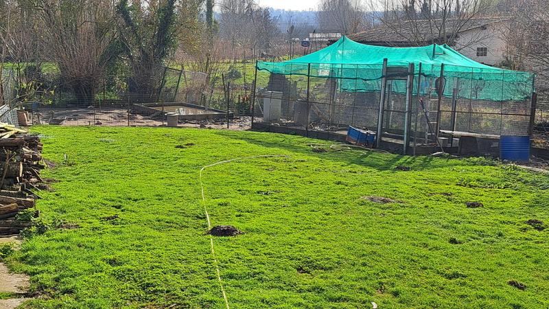 Maison - 97 m² - 5 pièces