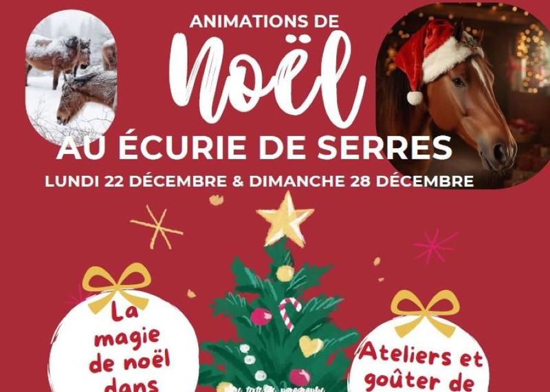 Animations de Noël au écurie de Serres