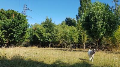 Terrain constructible - 784 m²