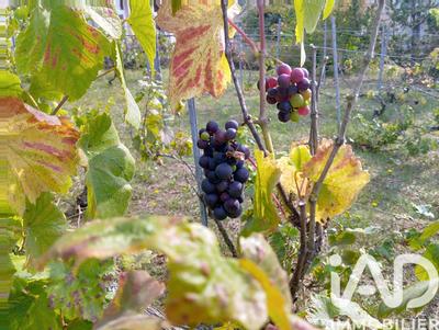 Immeuble - 2 900 m² - 90 pièces